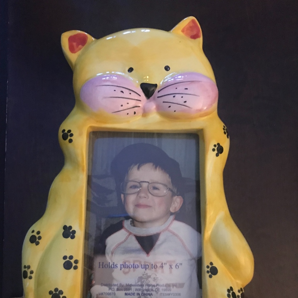 Cat Frame